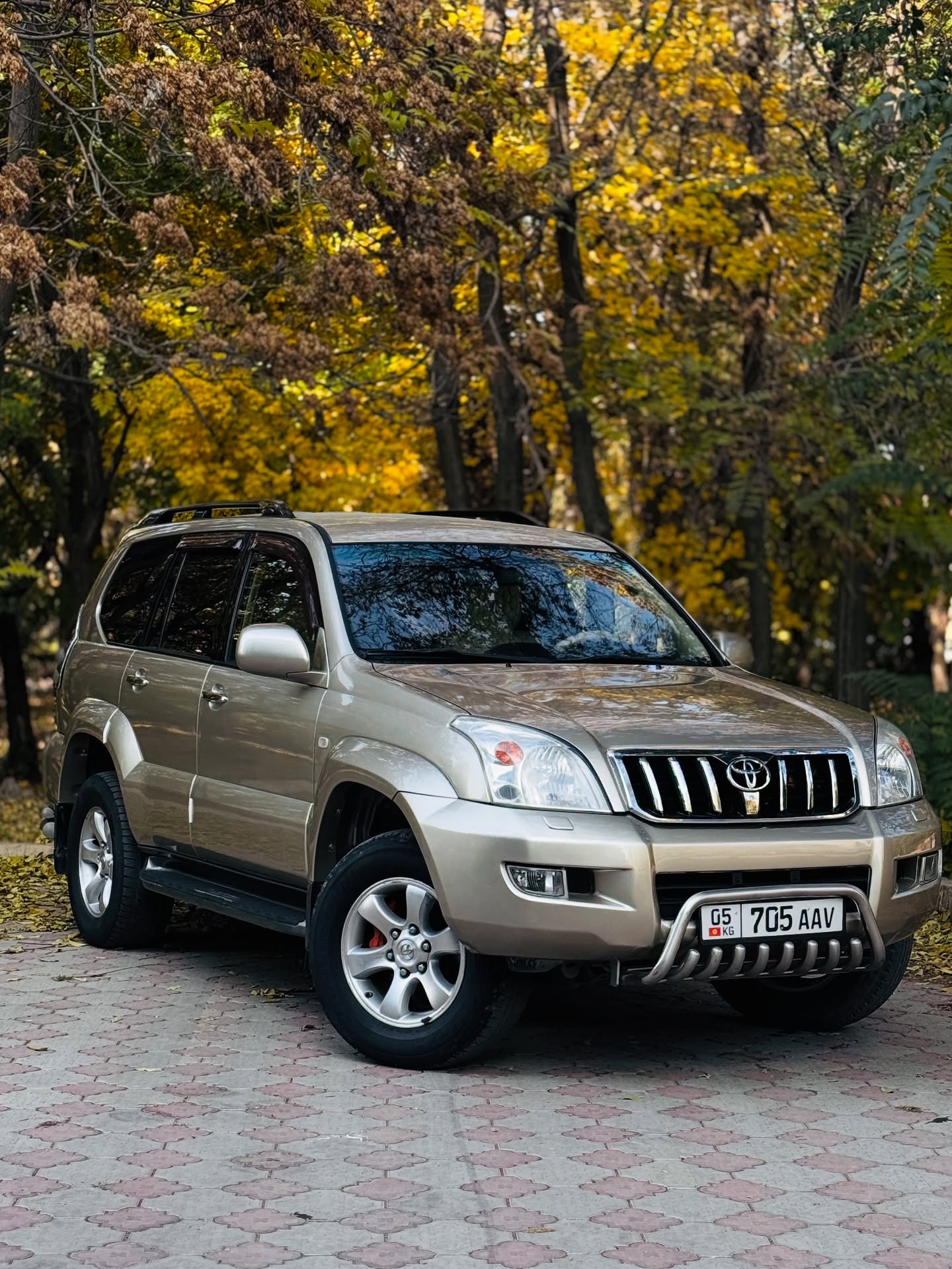 Toyota Land Cruiser 2005